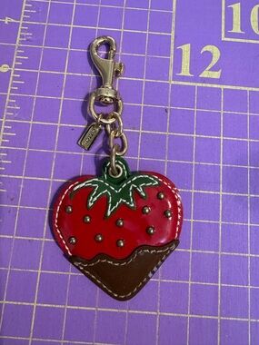 Coach Red Green Brown Chocolate Dipped Strawberry Keychain Purse Charm